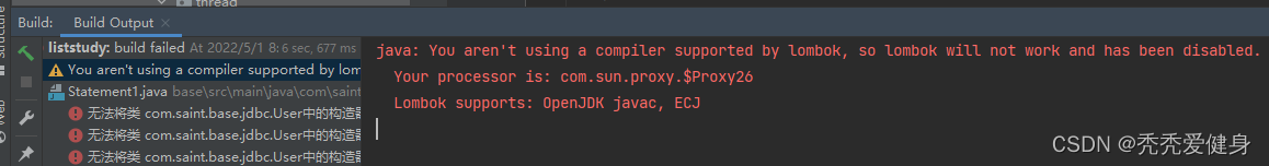 Lombok报错：You aren‘t using a compiler supported by lombok, so lombok will not work and has been disab